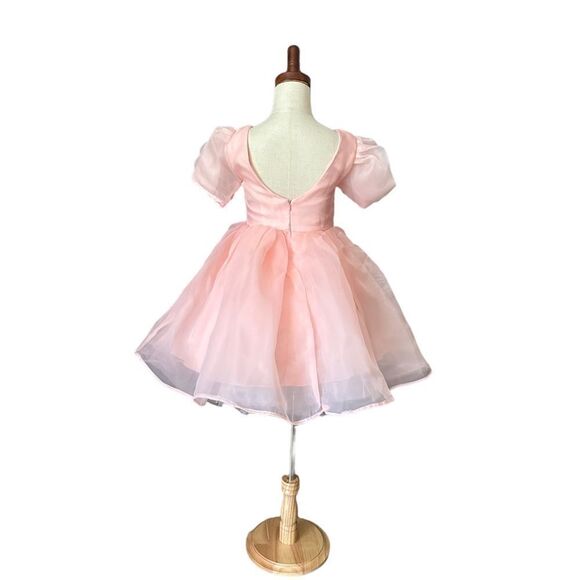 NNJXD | Blush | FLOWER GIRL PUFF SLEEVES ORGANZA DRESS - Picture 6 of 15